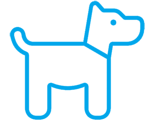 Animaux acceptés
